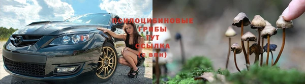 ПСИЛОЦИБИНОВЫЕ ГРИБЫ Новосибирск