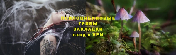 не бодяженный Зеленодольск