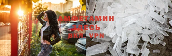 прущие грибы Струнино