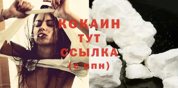 ПСИЛОЦИБИНОВЫЕ ГРИБЫ Новосибирск
