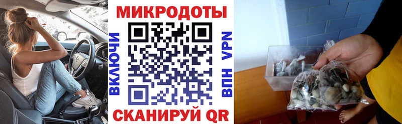 Псилоцибиновые грибы Psilocybe  даркнет сайт  Спас-Деменск 
